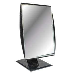 TCM ECONOMY MIRROR